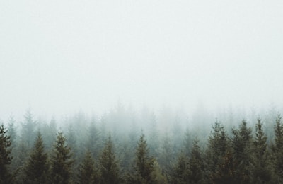 Desert dunes wallpaper